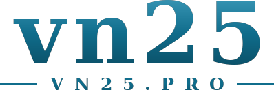 vn25 logo